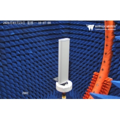 هوائيات متعددة لتقنية LoRaWAN 5G