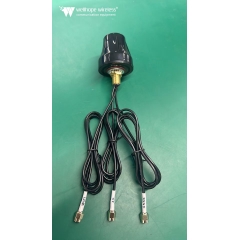 Automative Automotive WLAN الهوائي WH-4G-2.4-GPS-D2 